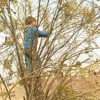 Green Seekers Activity